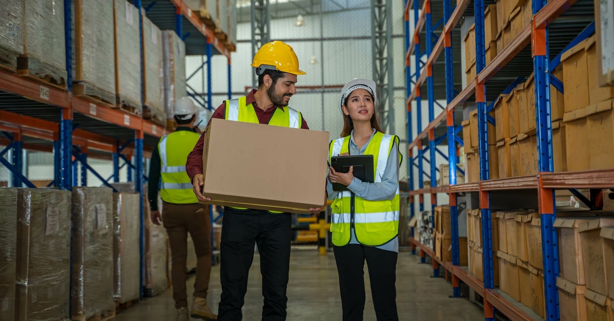 obraz wyróżniający sektor działania multifarb